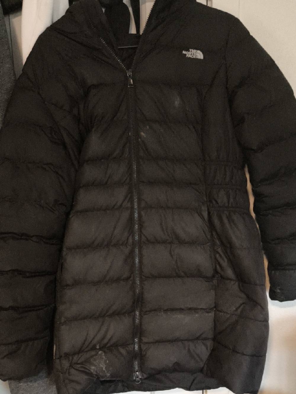 The North Face Black Quilted Down Jacket with Hood